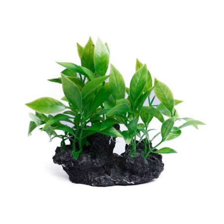 Dekoracja sztuczna roślina do akwarium terrarium na kamieniu