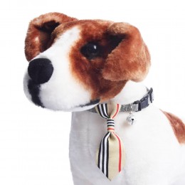 Obroża dla psa kota z krawatem i dzwoneczkiem beżowa 18-28 cm
