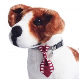 Obroża dla psa kota z krawatem i dzwoneczkiem bordowa obwód szyi 18-28 cm