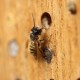 Hotel dla owadów DOMEK DLA OWADÓW pożytecznych pszczół murarek