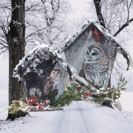 Domek rękodzieło SOWA / Decoupage domek dla ptaków z efektem 3D