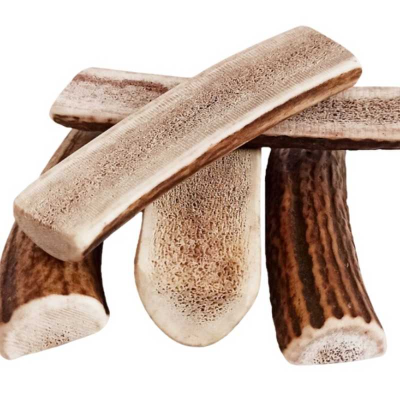 Gryzak dla psa BIOTOP poroże róg jelenia, naturalna kość 10-11 cm easy S