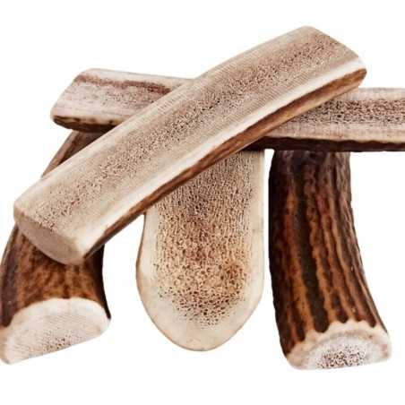 Gryzak dla psa BIOTOP poroże róg jelenia, naturalna kość 10-11 cm easy S