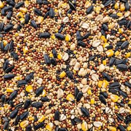 Karma dla ptaków BIRDFIT, uniwersalna mieszanka zbóż dla ptaków zimujących 1 kg widok ziaren z bliska