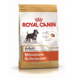 Karma dla psów Royal Canin Miniature Schnauzer Adult 500g