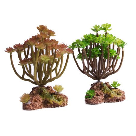 Sztuczny sukulent do akwarium i terrarium, dekoracja 15 cm, zielony lub brązowy