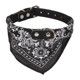 Czarna bandama w paisley na obroży