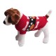 Ciepły sweterek ubranko dla psa lub kota CZERWONY W KOSTECZKI