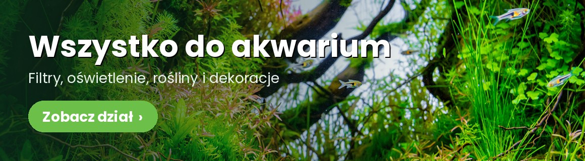 Akwarystyka: wszystko do akwarium